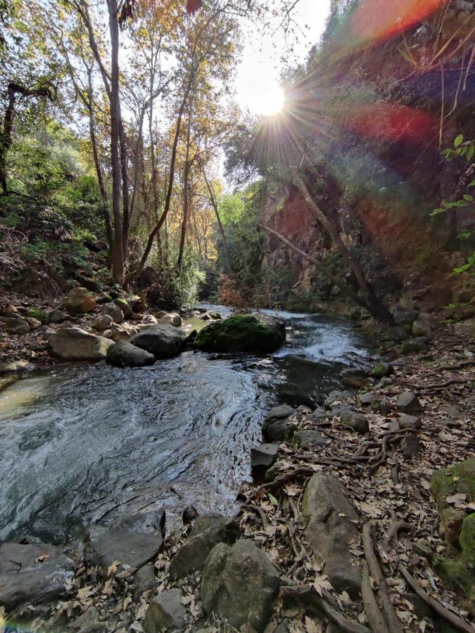 נוף יובלים Lägenhet Qiryat Shemona Exteriör bild
